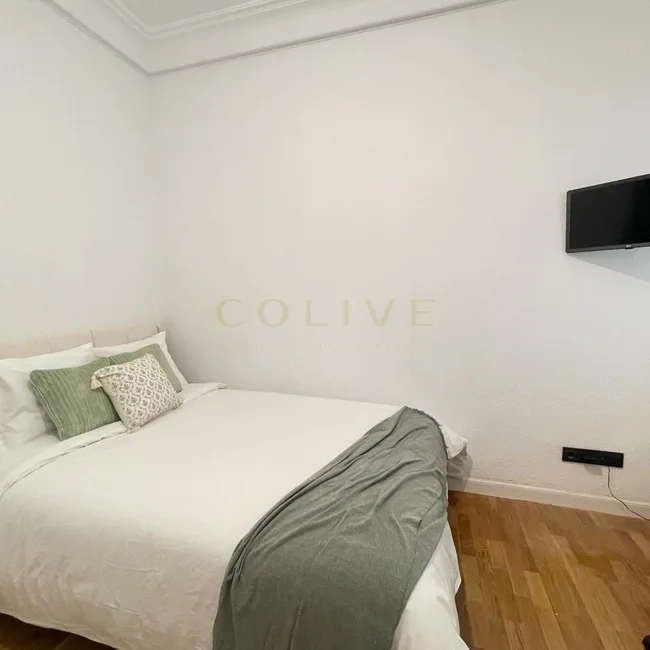 PR56R4-Moncloa-Aravaca-Paseo del Pintor Rosales-7111