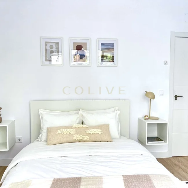 G41-1R2-Salamanca-Goya-8346