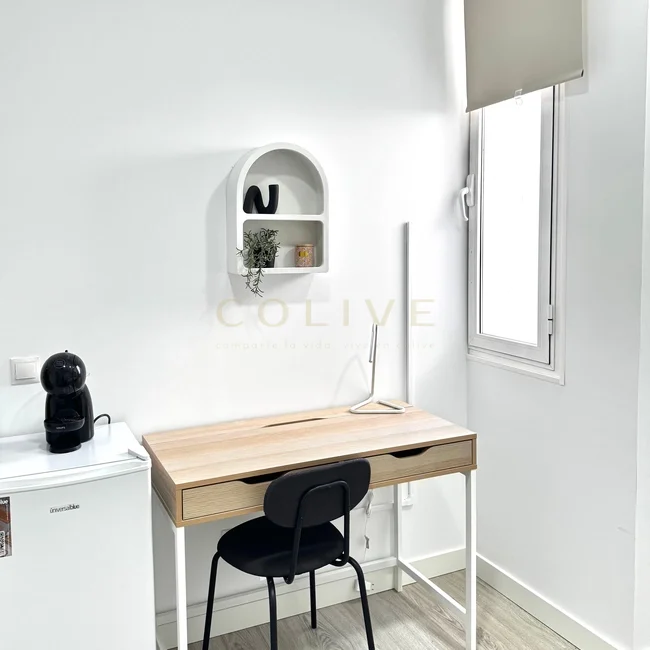 SE154-7-R1-Chamberí-Santa Engracia-9382