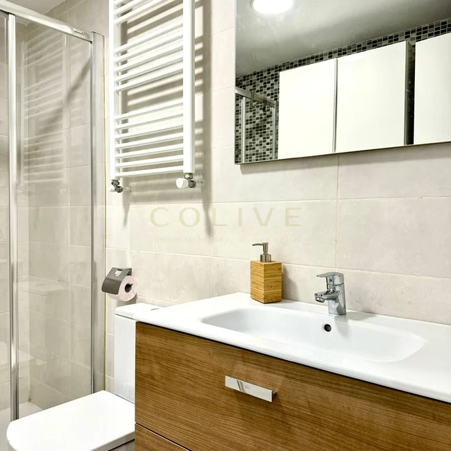 IF20R2-Centro-Calle de las Infantas-8551