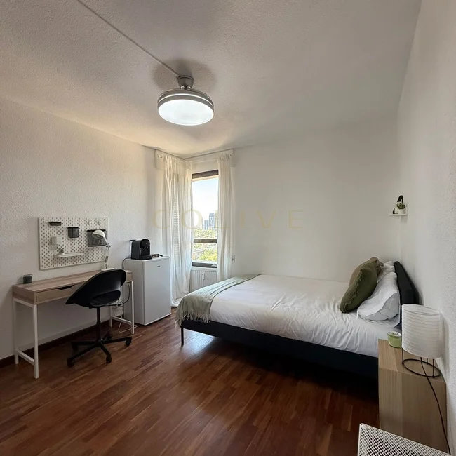 CMS48R5-Chamartín-Cardenal Marcelo Spinola-9574