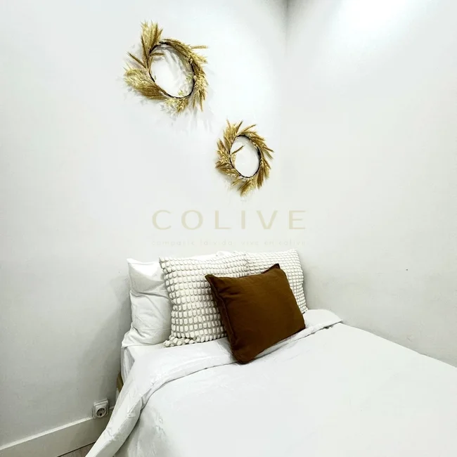 S81R3-Salamanca-Serrano-7788