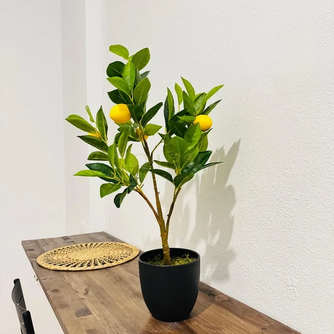 DRC60-2R4-Salamanca-Don ramón de la cruz-9371