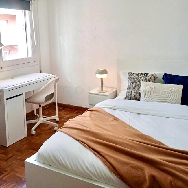 SRNR5-Chamartín-San Ramon Nonato-7284