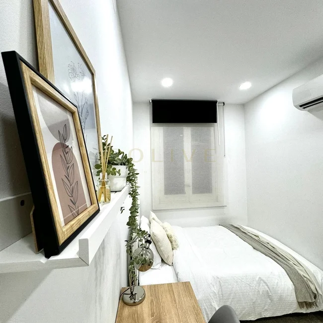 S81R2-Salamanca-Serrano-7805