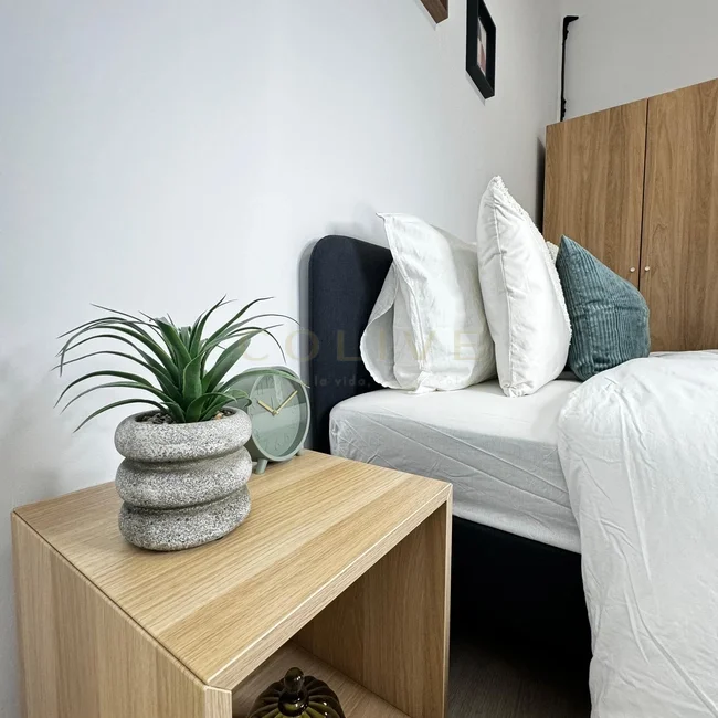 S81.1R4-Salamanca-Calle Serrano-8944