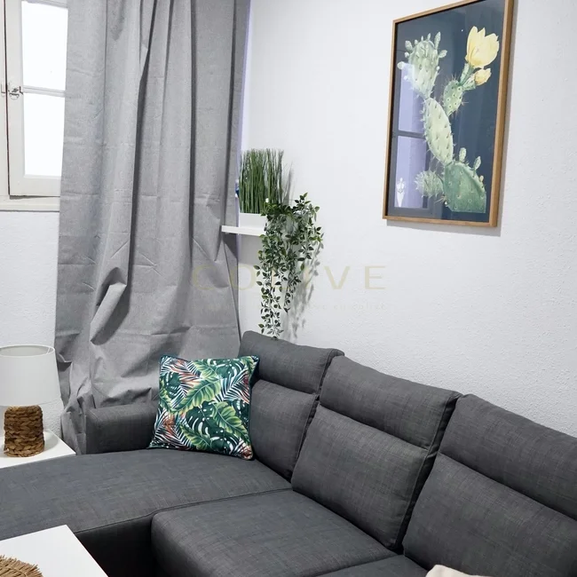 G83R4-Salamanca-Goya-8370