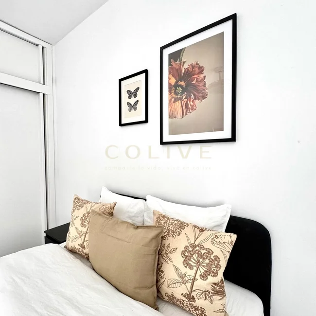 C266R1-Chamartín-Castellana-9111