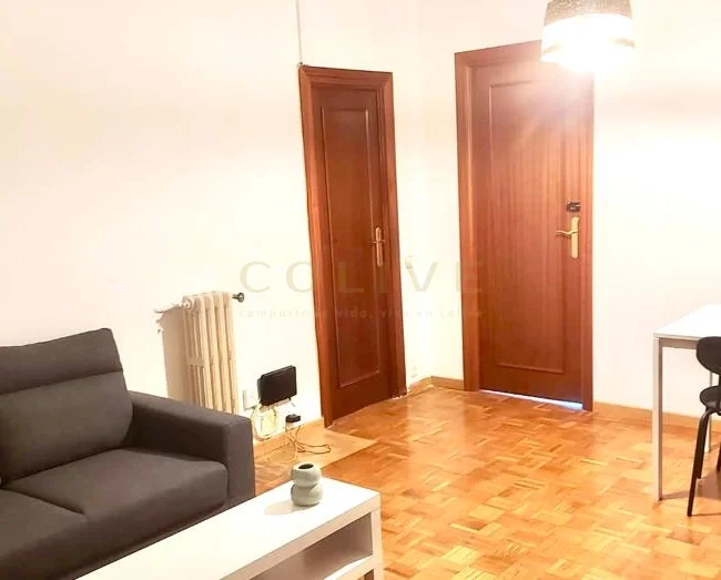 SRNR3-Chamartín-San Ramon Nonato-7314