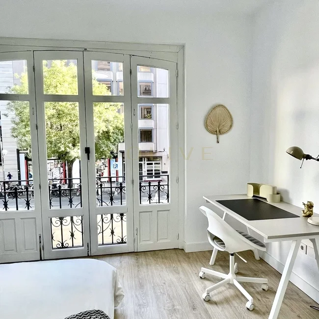 G41-1R1-Salamanca-Goya-8317