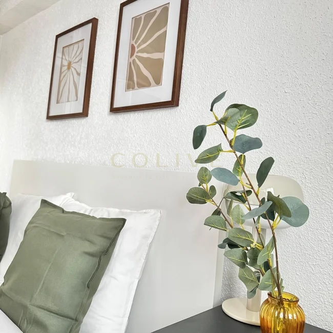 SRNR2-Chamartín-San Ramon Nonato-9265