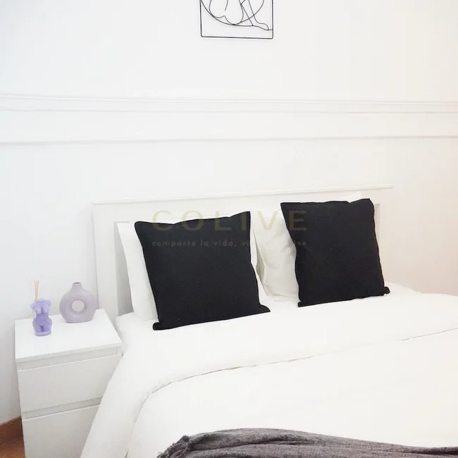 G41-5R6-Salamanca-Goya-6468