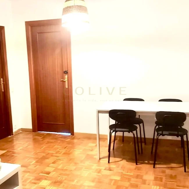 SRNR3-Chamartín-San Ramon Nonato-7315