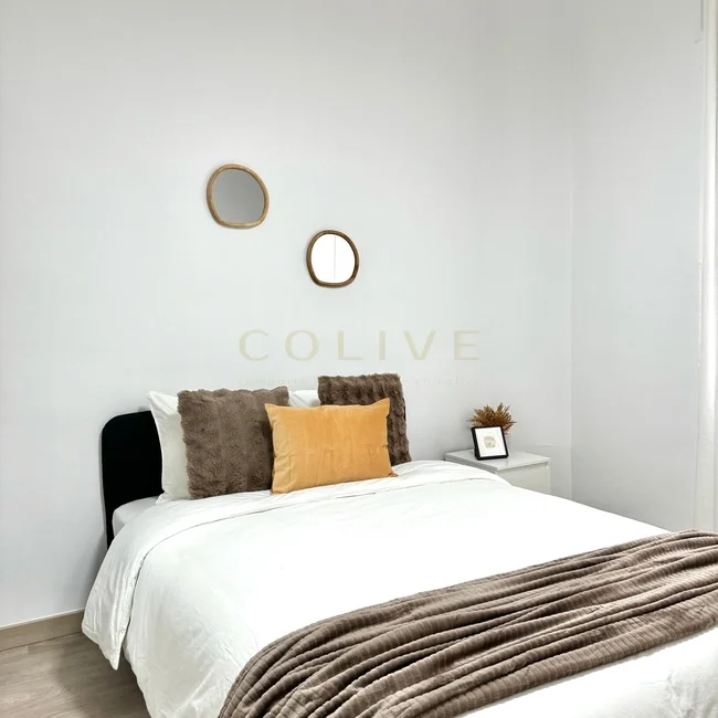 S81.1R3-Salamanca-Calle Serrano-9272