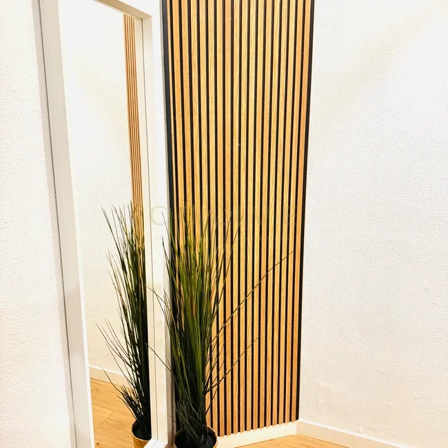 DRC60-2R2-Salamanca-Don ramón de la cruz-9333