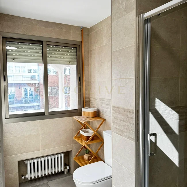 C266R5-Chamartín-Castellana-9063