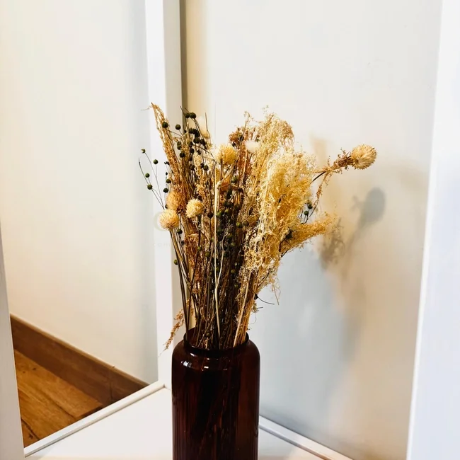 S81-1-IZQR3-Salamanca-Serrano-9486