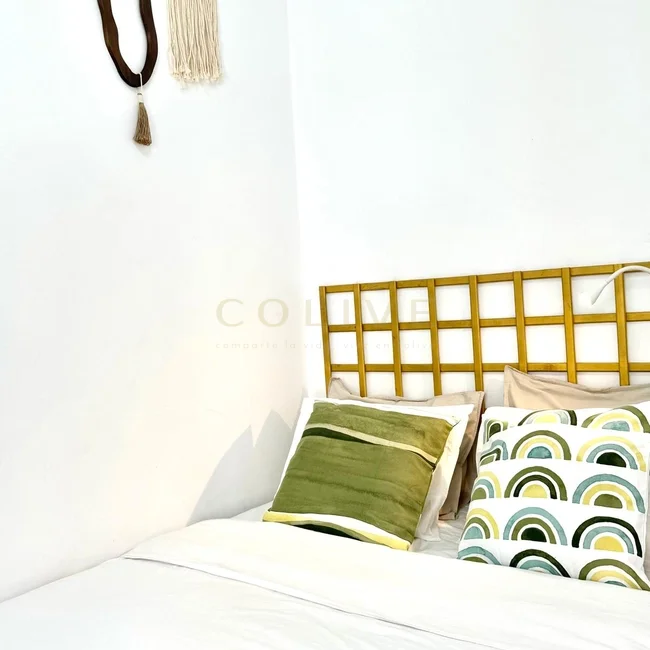 DP6R3-Centro-Divino Pastor-9289