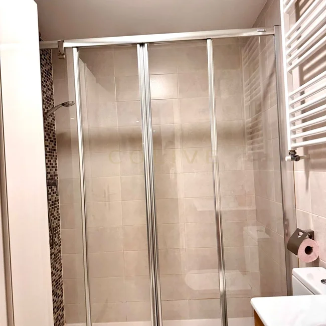 IF20R3-Centro-Calle de las Infantas-7050