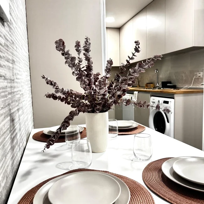 C266R6-Chamartín-Castellana-9079